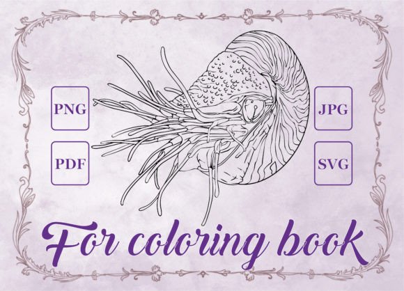 Download Nautilus Mollusk Adult Coloring Book - Coloring Collection